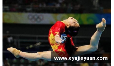 俄罗斯著名的女子体操运动员N叫什么名字？(运动员等级证书怎么查询？)