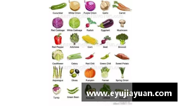 所有蔬菜的英文单词？(所有蔬菜的英文？)